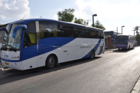 بالصور: مؤسسة البيارق تسيّر حافلتين من يافا لأداء صلاتي العشاء والتراويح في الأقصى 